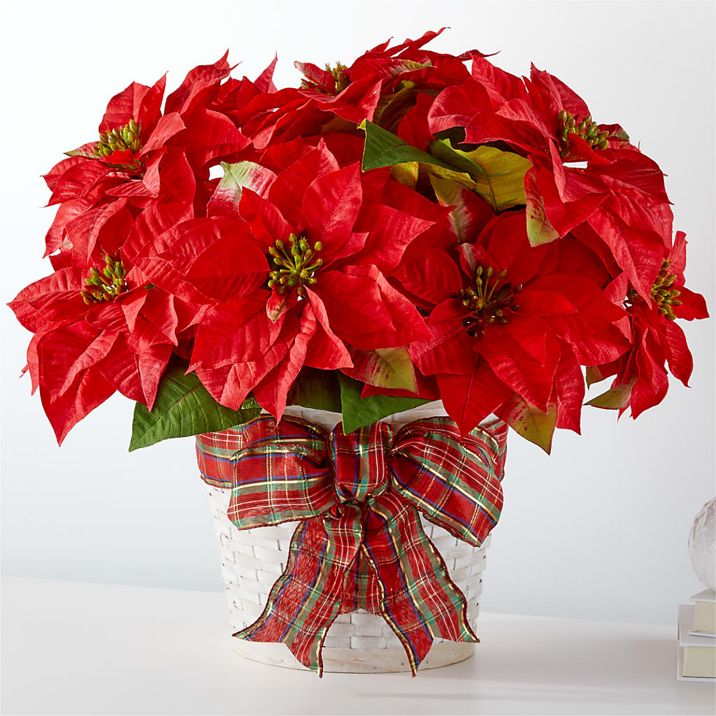 Happiest Holidays Poinsettia – Ashland Floral Gardens Llc, Ashland OH