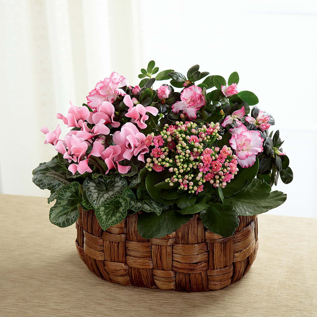Pink Assortment – Ashland Floral Gardens Llc, Ashland OH