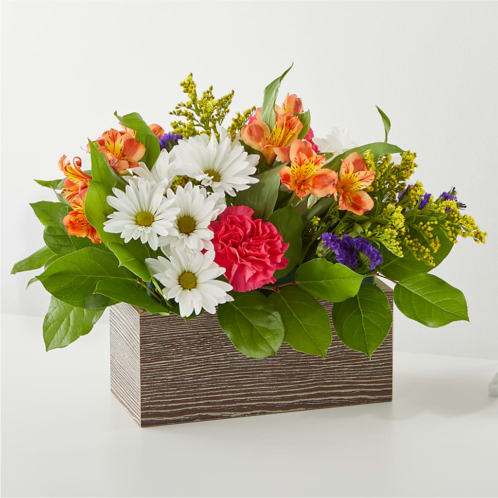 Oopsie Daisy Box Bouquet – Ashland Floral Gardens Llc, Ashland OH