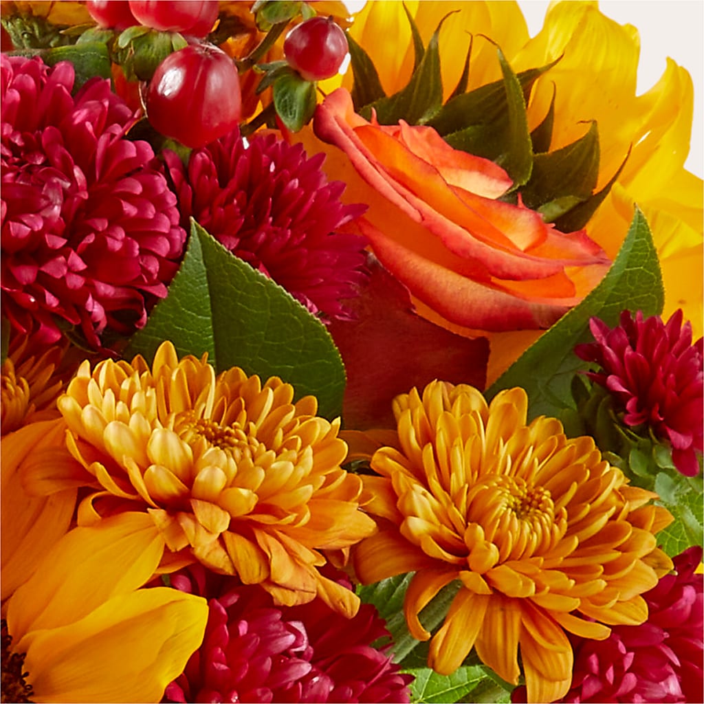 Sweater Season - A Florist Original – Ashland Floral Gardens Llc, Ashland OH