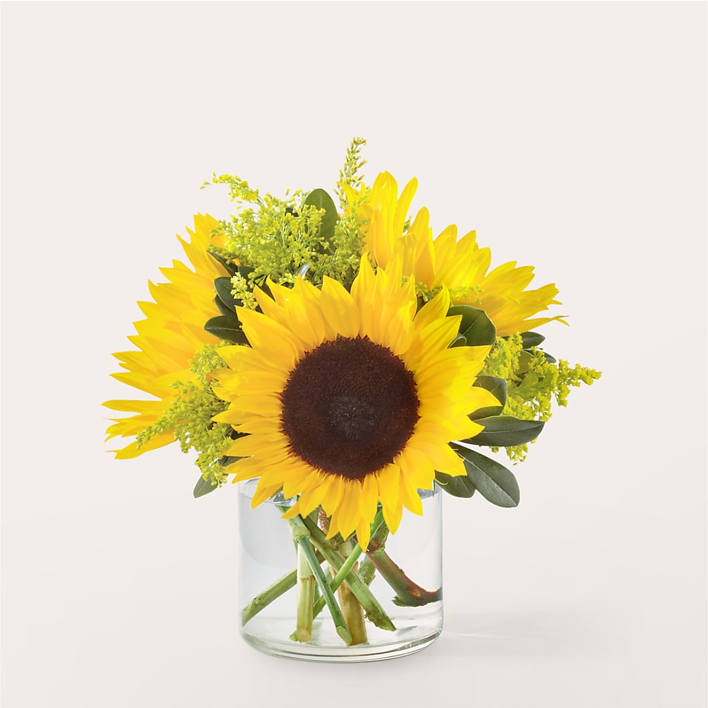 Beaming Sunflower Bouquet – Ashland Floral Gardens Llc, Ashland OH