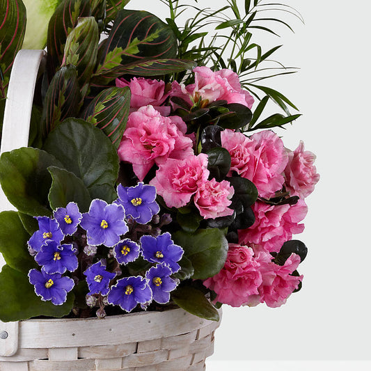 Peaceful Garden Planter – Ashland Floral Gardens Llc, Ashland OH