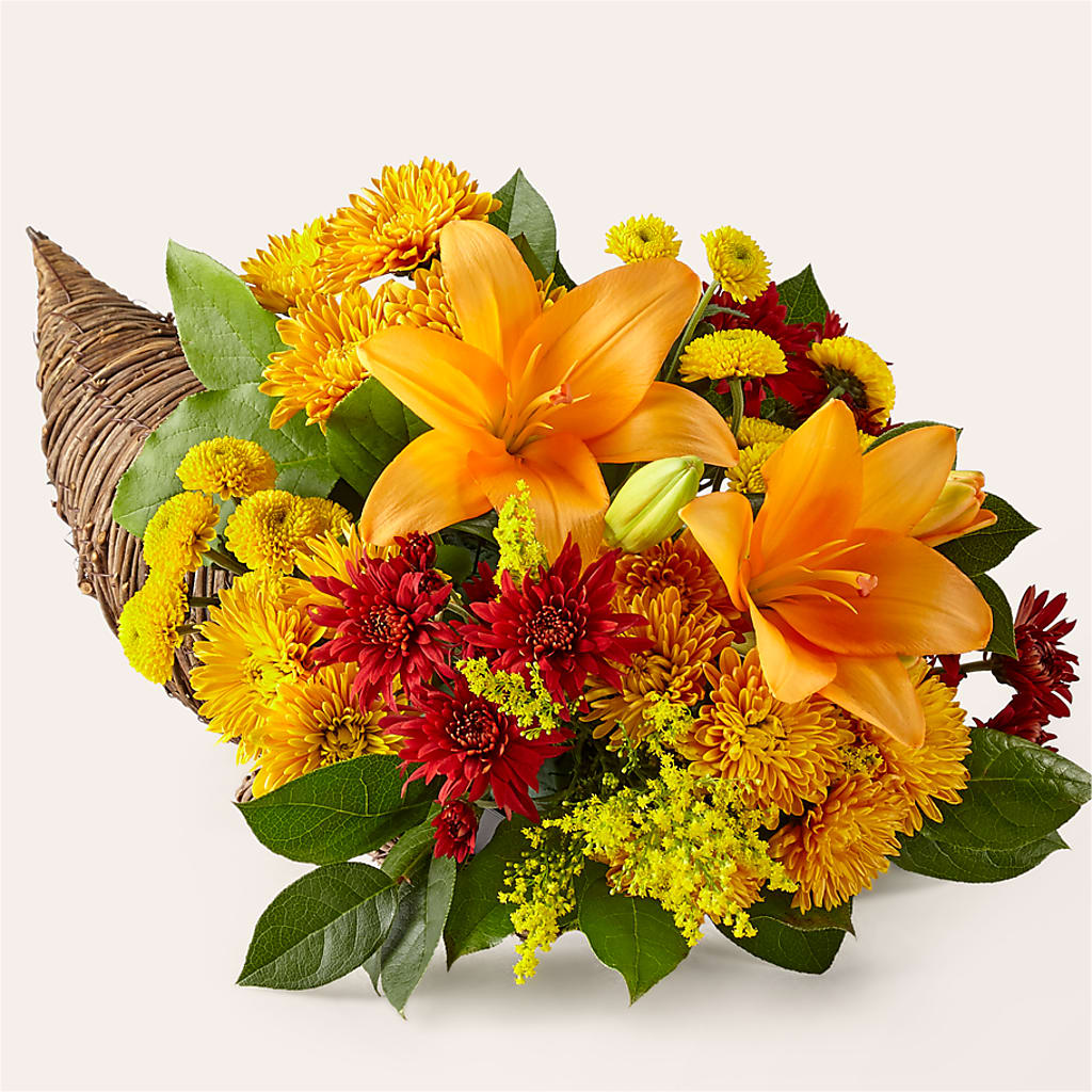Feast of Color Cornucopia – Ashland Floral Gardens Llc, Ashland OH