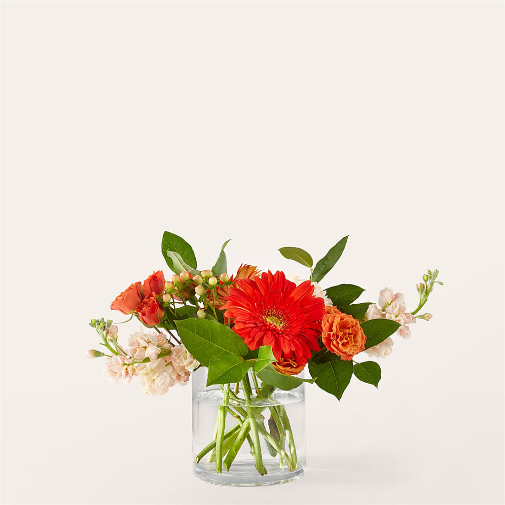 Paloma Please Bouquet – Ashland Floral Gardens Llc, Ashland OH
