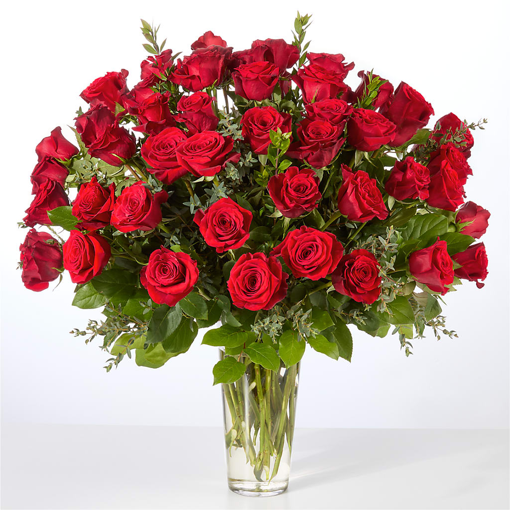 Forever Yours Fifty Stem Red Rose Bouquet – Ashland Floral Gardens Llc, Ashland OH