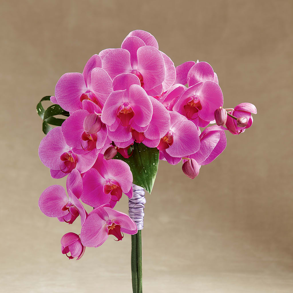 Glorious Bouquet – Ashland Floral Gardens Llc, Ashland OH