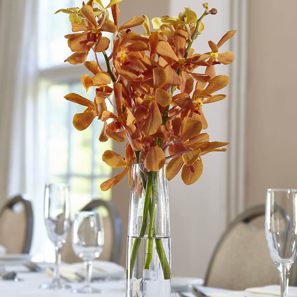Orange Mokara Bud Vase – Ashland Floral Gardens Llc, Ashland OH