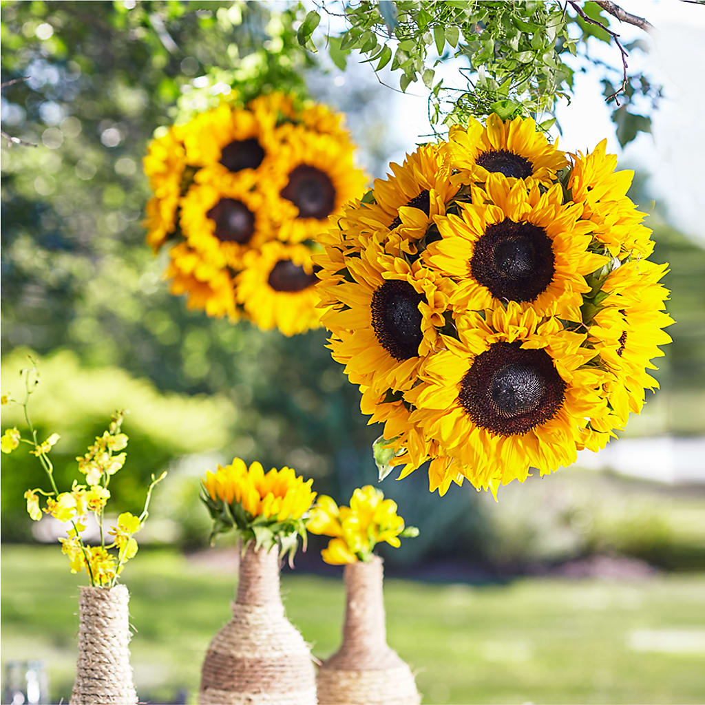 Sublime Garden Hanging Arrangement – Ashland Floral Gardens Llc, Ashland OH