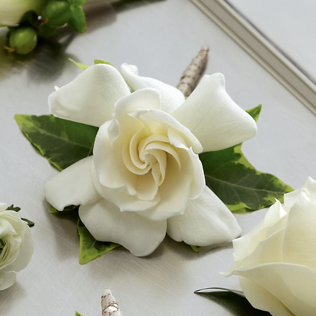 Gardenia Boutonniere – Ashland Floral Gardens Llc, Ashland OH