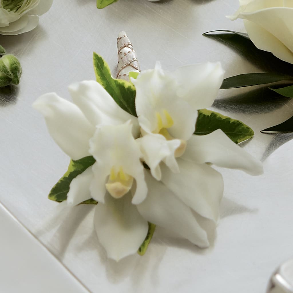 White Mini Cymbidium Boutonniere – Ashland Floral Gardens Llc, Ashland OH