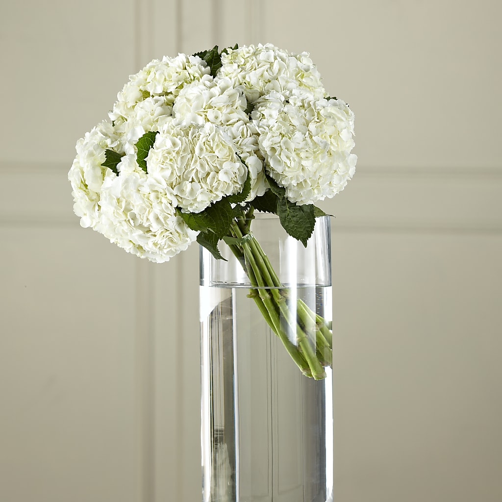 White Hydrangea Hand-Tied Bouquet – Ashland Floral Gardens Llc, Ashland OH