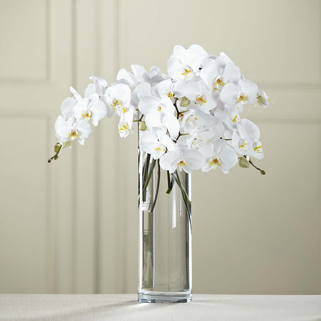White Phalaenopsis Bouquet – Ashland Floral Gardens Llc, Ashland OH