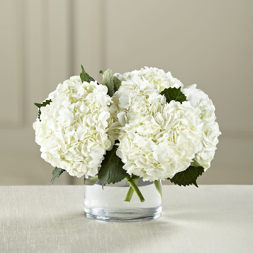 White Hydrangea Bouquet – Ashland Floral Gardens Llc, Ashland OH