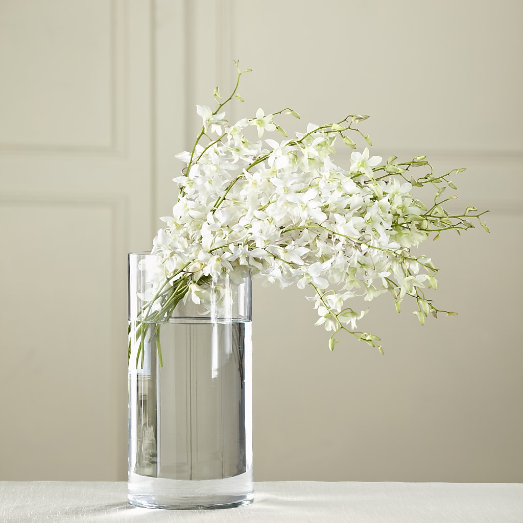 White Dendrobium Bouquet – Ashland Floral Gardens Llc, Ashland OH