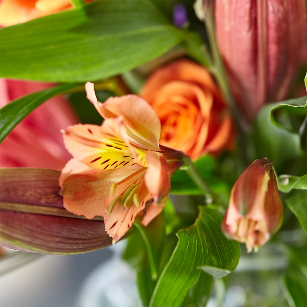 Bold & Bright – A Florist Original –  Ashland Floral Gardens Llc, Ashland OH