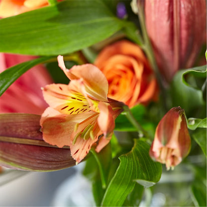 Bold & Bright – A Florist Original –  Ashland Floral Gardens Llc, Ashland OH