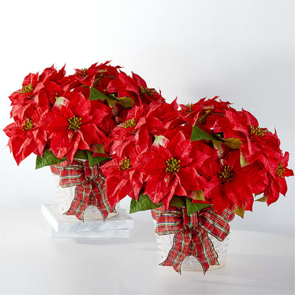 Happiest Holidays Poinsettia Bundle –  Ashland Floral Gardens Llc, Ashland OH