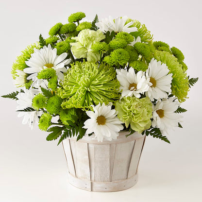 Lucky Charm Basket (Standard) –  Ashland Floral Gardens Llc, Ashland OH