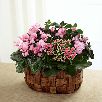 Pink Assortment –  Ashland Floral Gardens Llc, Ashland OH