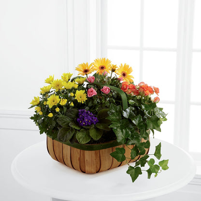 Gentle Blossoms Basket –  Ashland Floral Gardens Llc, Ashland OH