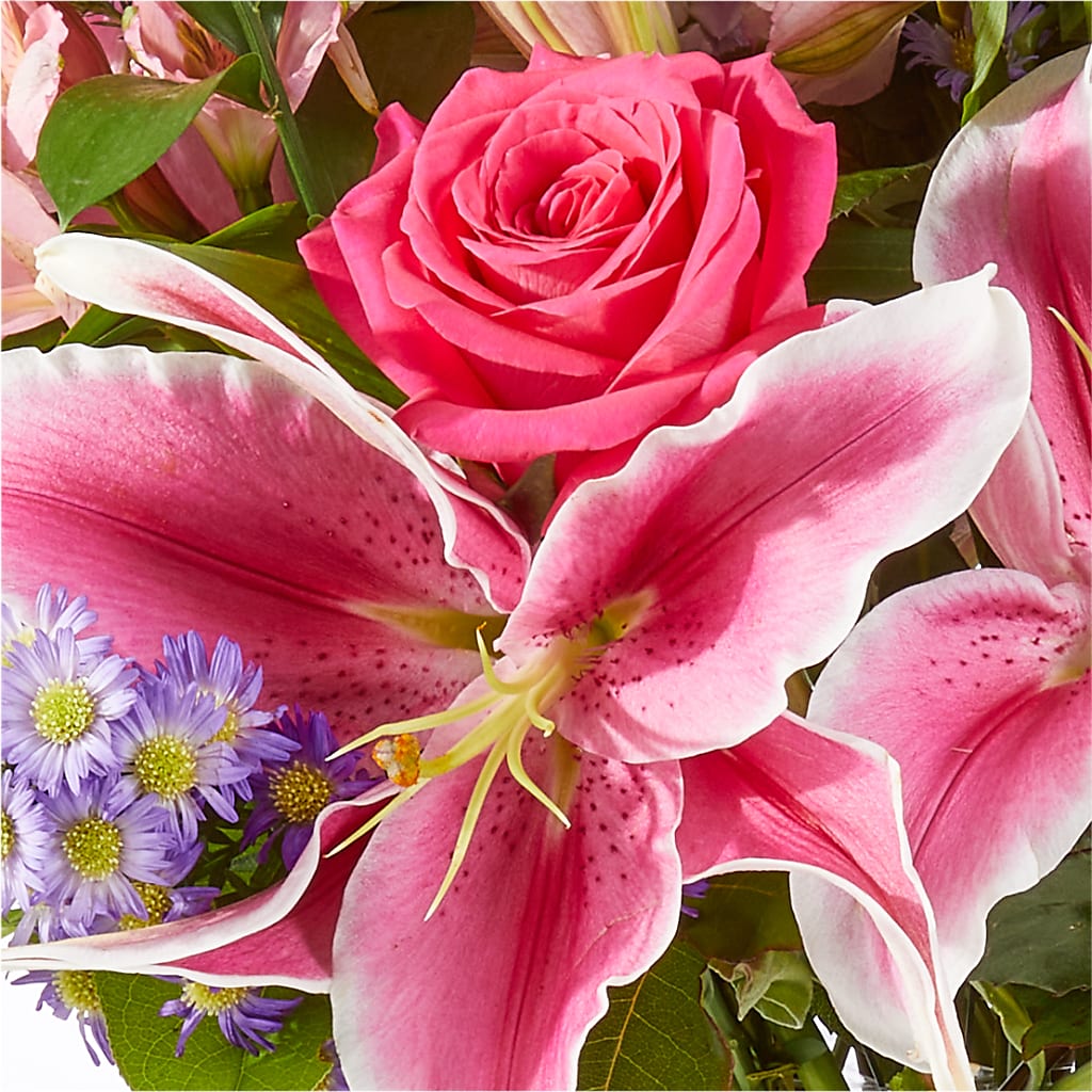 Written in the Stars Bouquet –  Ashland Floral Gardens Llc, Ashland OH