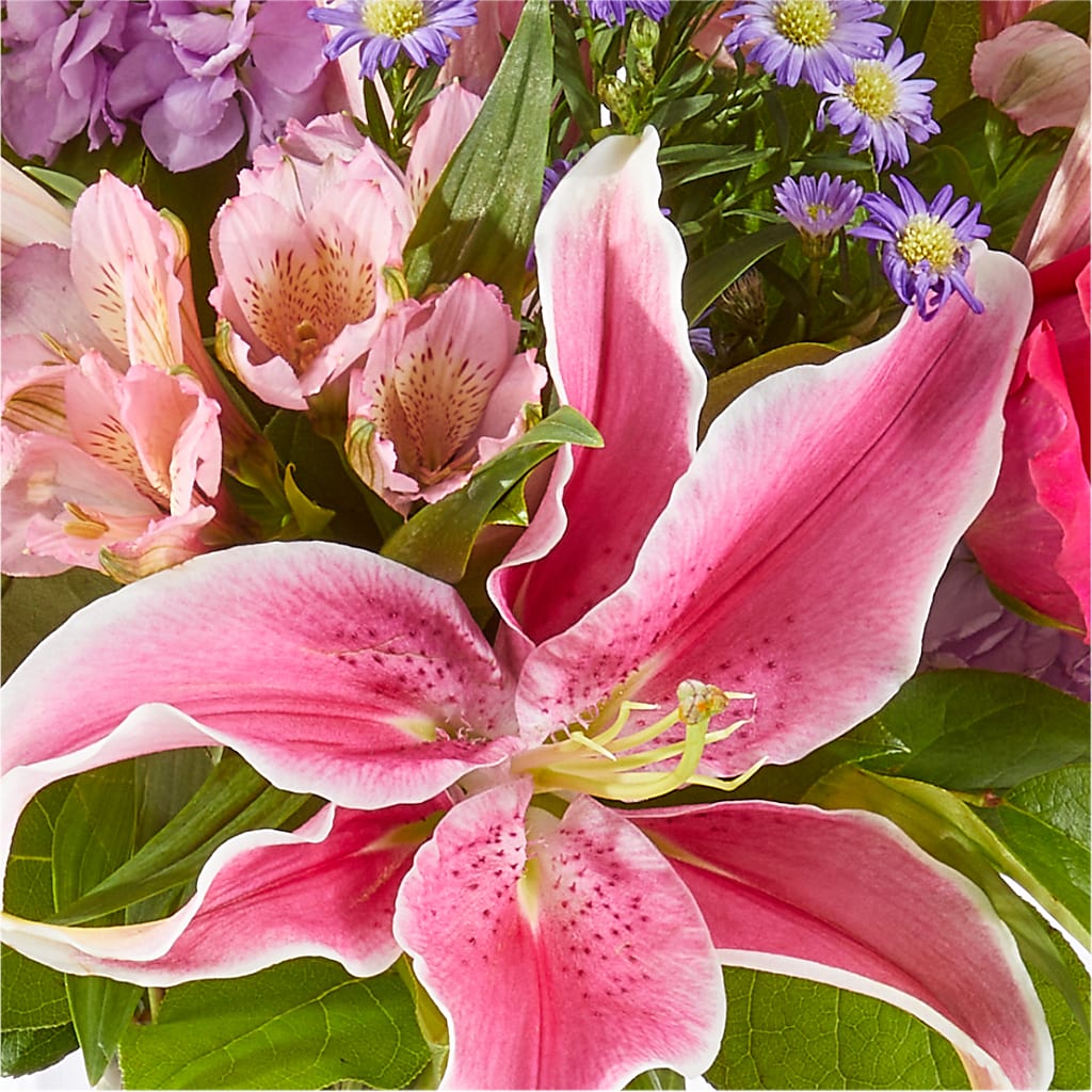 Written in the Stars Bouquet –  Ashland Floral Gardens Llc, Ashland OH