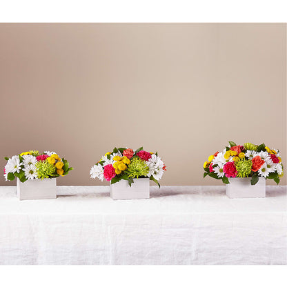 Sorbet Bouquet –  Ashland Floral Gardens Llc, Ashland OH