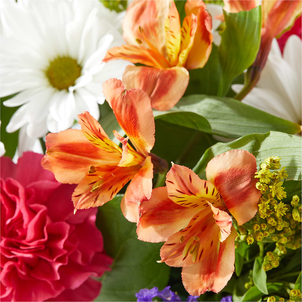 Oopsie Daisy Box Bouquet –  Ashland Floral Gardens Llc, Ashland OH