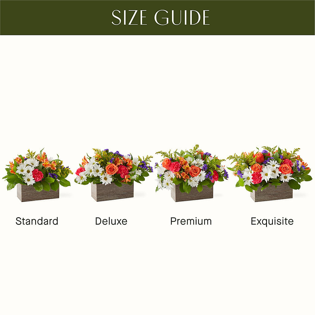 Oopsie Daisy Box Bouquet –  Ashland Floral Gardens Llc, Ashland OH