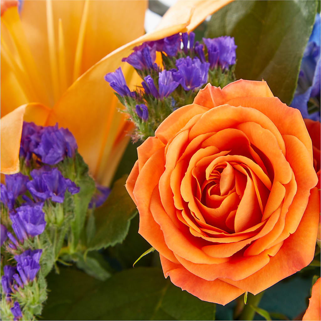 Radiant Citrus Box Bouquet –  Ashland Floral Gardens Llc, Ashland OH