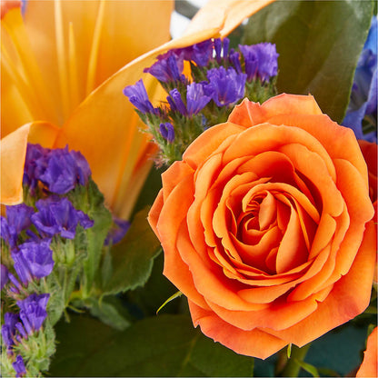 Radiant Citrus Box Bouquet –  Ashland Floral Gardens Llc, Ashland OH