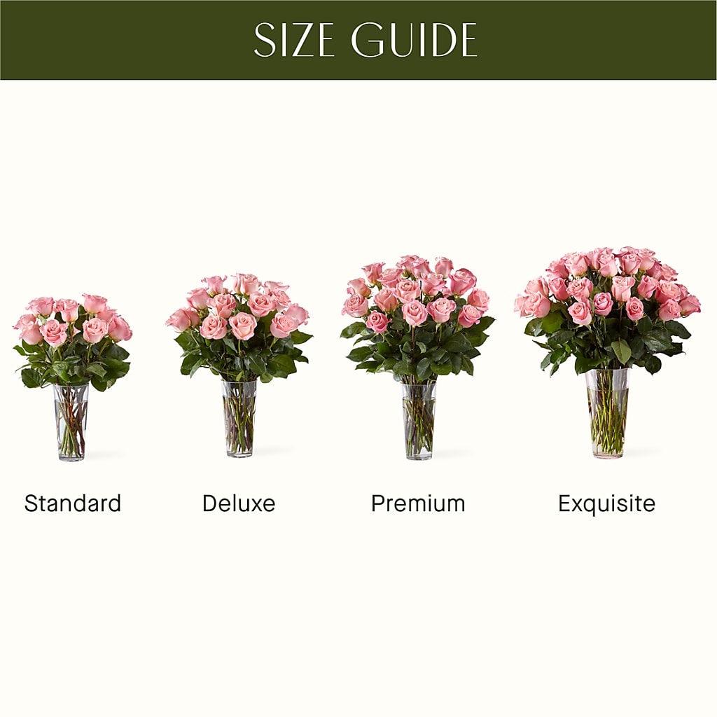 Long Stem Pink Rose Bouquet –  Ashland Floral Gardens Llc, Ashland OH