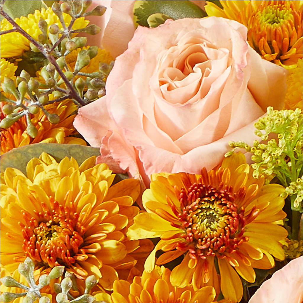 Peachy Pumpkin –  Ashland Floral Gardens Llc, Ashland OH