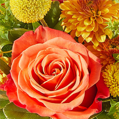 Gourdgeous Pumpkin –  Ashland Floral Gardens Llc, Ashland OH