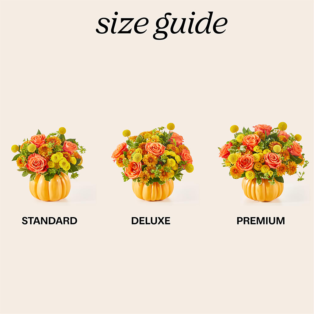 Gourdgeous Pumpkin –  Ashland Floral Gardens Llc, Ashland OH