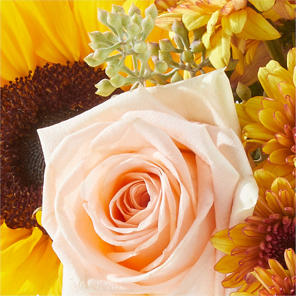 Pumpkin to Talk About Bouquet –  Ashland Floral Gardens Llc, Ashland OH