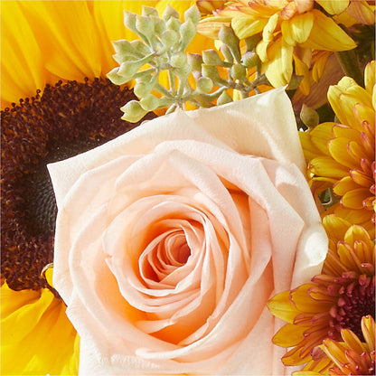 Pumpkin to Talk About Bouquet –  Ashland Floral Gardens Llc, Ashland OH