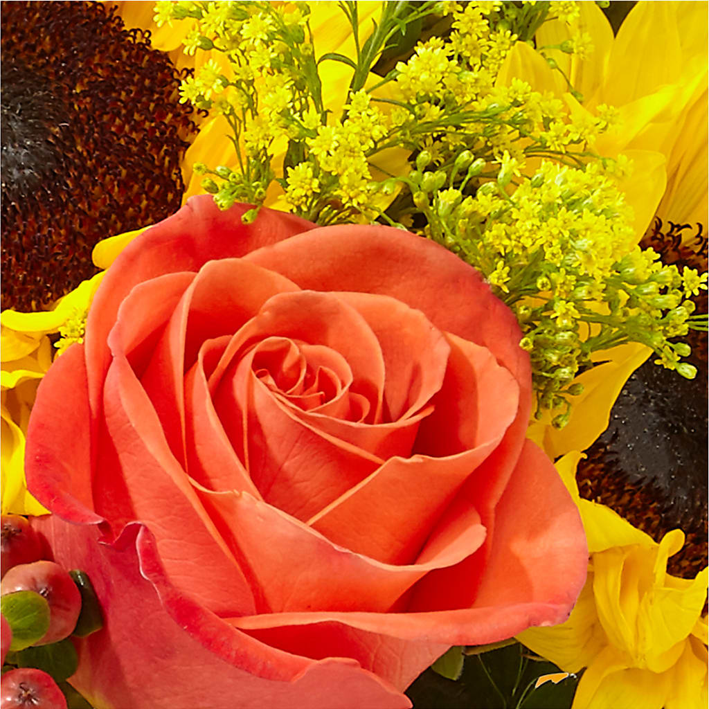 Pick of the Patch Pumpkin Bouquet –  Ashland Floral Gardens Llc, Ashland OH