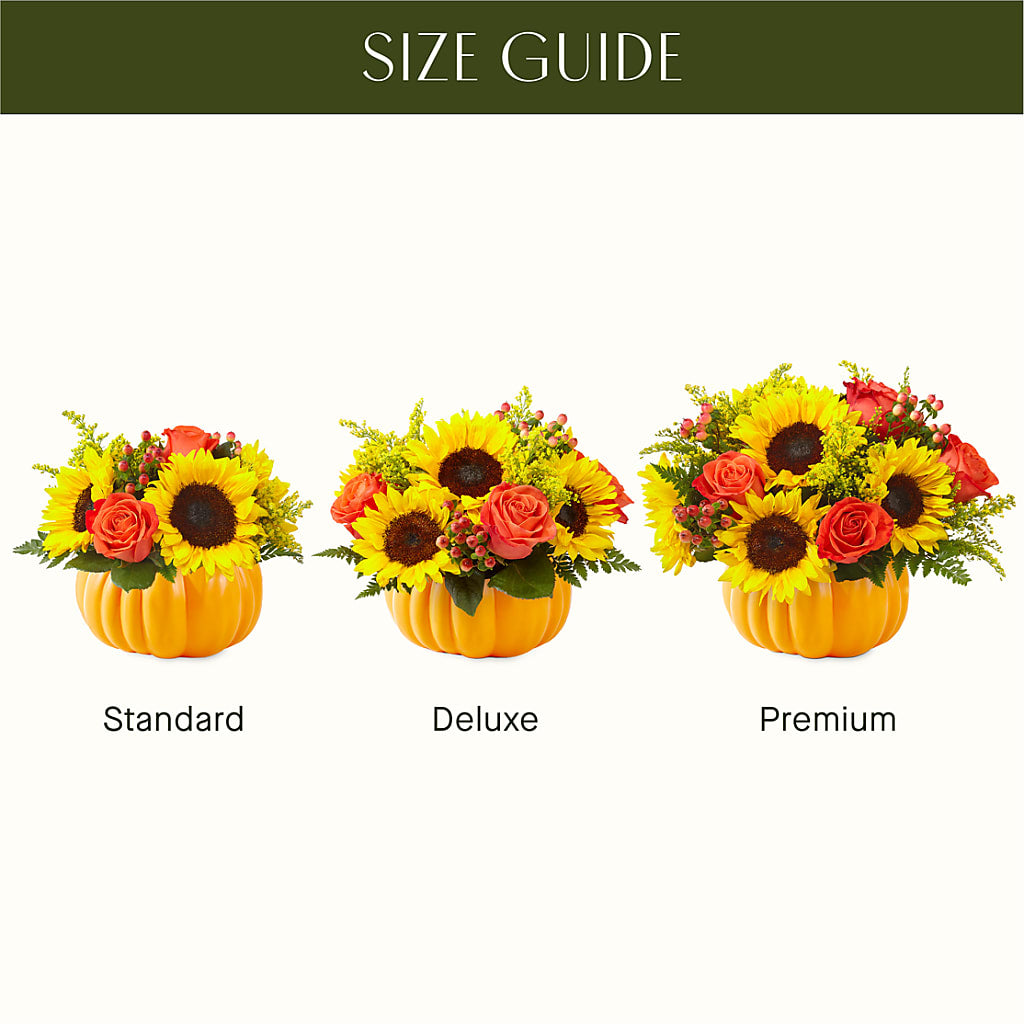 Pick of the Patch Pumpkin Bouquet –  Ashland Floral Gardens Llc, Ashland OH