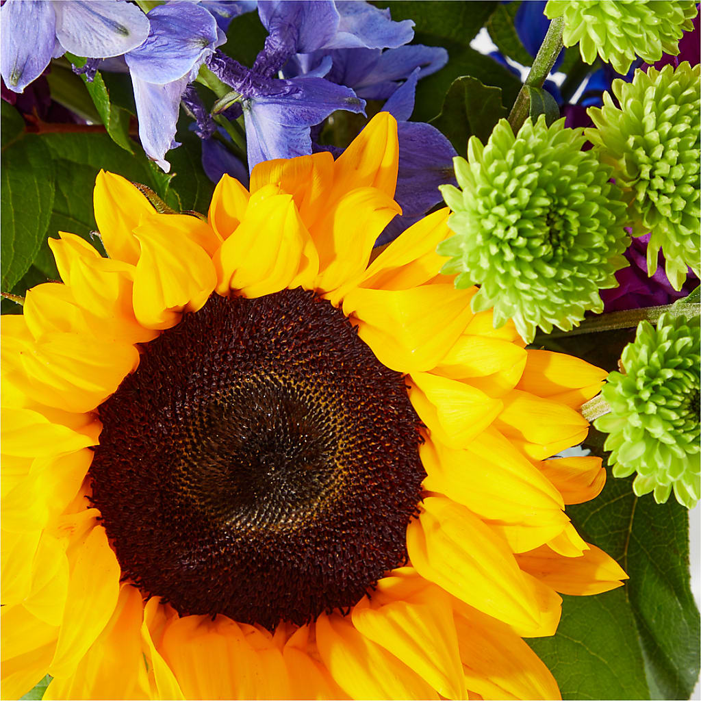 Catching Rays Bouquet –  Ashland Floral Gardens Llc, Ashland OH