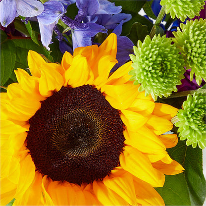 Catching Rays Bouquet –  Ashland Floral Gardens Llc, Ashland OH