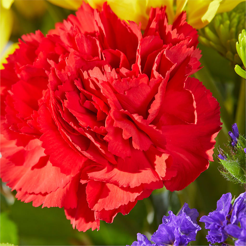 Brighter Days Bouquet –  Ashland Floral Gardens Llc, Ashland OH