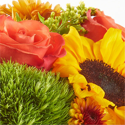 Farmer’s Market Stroll Bouquet –  Ashland Floral Gardens Llc, Ashland OH