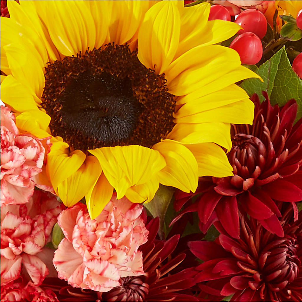 Fresh Cider Bouquet –  Ashland Floral Gardens Llc, Ashland OH
