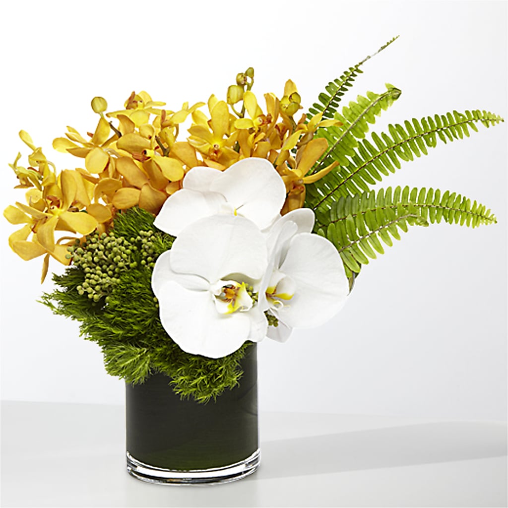 The Tropics –  Ashland Floral Gardens Llc, Ashland OH