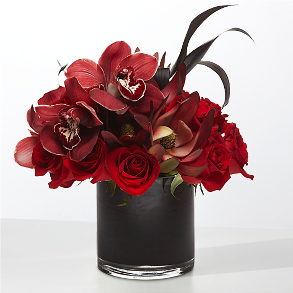 The Eclipse –  Ashland Floral Gardens Llc, Ashland OH