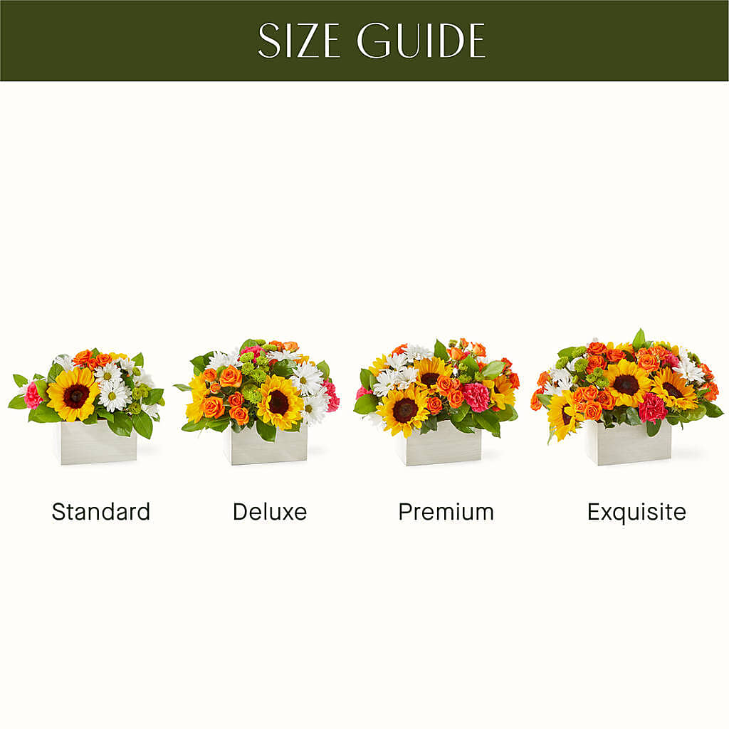 Sun-drenched Blooms Box Bouquet –  Ashland Floral Gardens Llc, Ashland OH