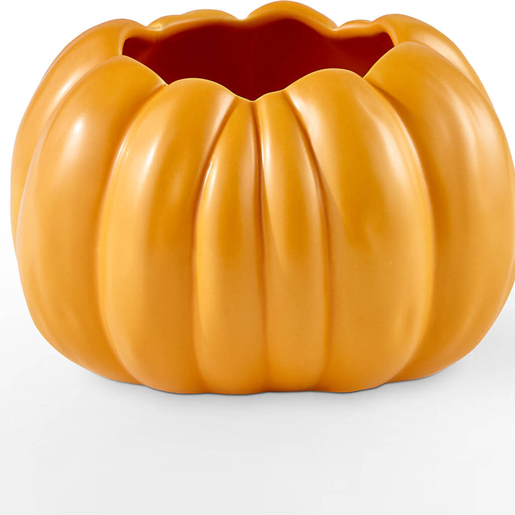 Golden Gourd Pumpkin Bouquet –  Ashland Floral Gardens Llc, Ashland OH