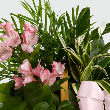 Living Spirit Dishgarden –  Ashland Floral Gardens Llc, Ashland OH