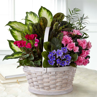 Peaceful Garden Planter –  Ashland Floral Gardens Llc, Ashland OH